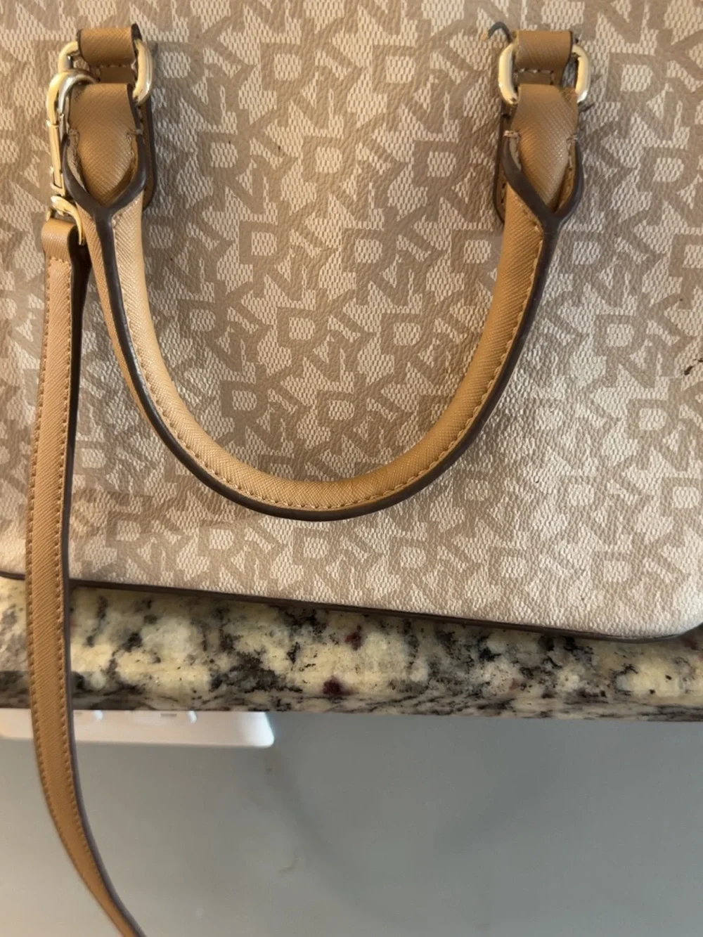 DKNY Purse